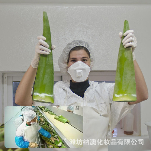 Origin of U.S.A. Curacao Aloe Vera Gel Aromatherapy Plant Hydrating No Tightness