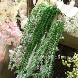 ��Ʒ���������ɼ�ڒ�����ٗlֲ����ܛ�b�Ʒˮ���ٽ��~��