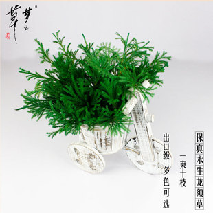 �������}�Q�仨��ʯ���}�Q���Y����Ȼֲ��Ӽ��b����lDIY����