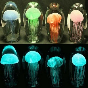 ֱ����ɫ�Ϲ����ҹ��� ��ɫ�l�Ϲ��L���xҹ��� �ɹ��