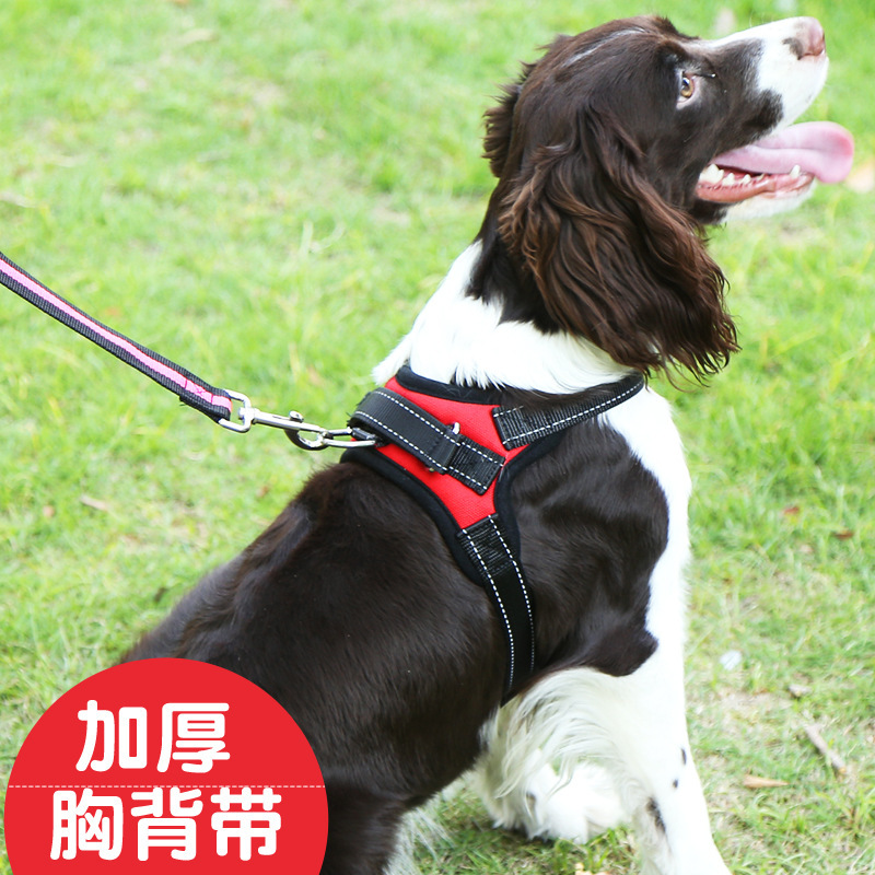 Perro mediano y pequeño Corgi Labrador para mascotas correa de pecho cuerda de tracción chaleco cuerda de perro suministros para mascotas
