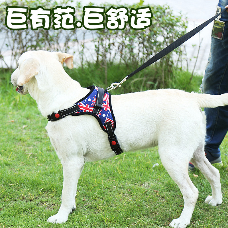 Perro mediano y pequeño Corgi Labrador para mascotas correa de pecho cuerda de tracción chaleco cuerda de perro suministros para mascotas