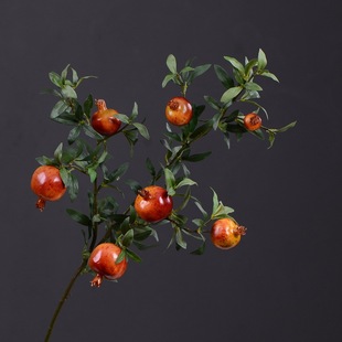 ����ʯ������~�ӝ{�����l�Ҿ��b��滨��ʽ�մ�ƿ���ܻ�c����