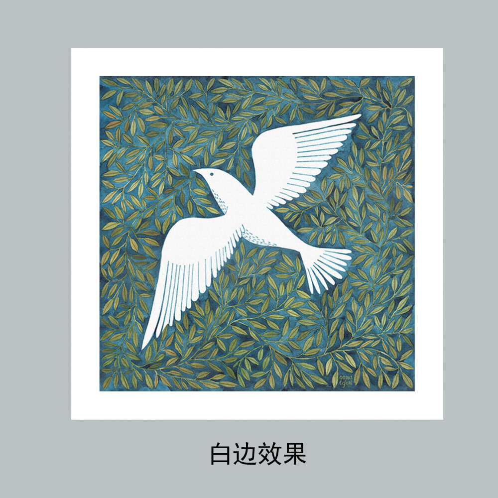 商品图