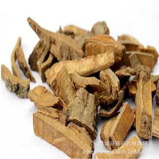 ��ͩƤ�����d��ș�� ��ș�����l��������ͩƤ��  ��؛  ���󃞻�