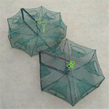 �Ԅ��ۯB�r�\�A��6��8�ײ��r�Wץ�S�X���q���r�W�����T�r�\�O��