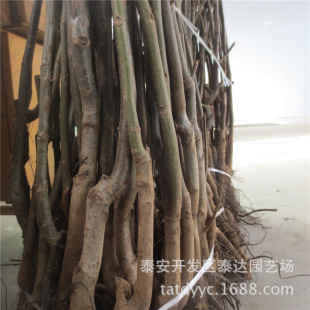 ռ��2�׸ߺ��Ҙ��� ��ꖺ�����r�� ��Ҏ��ռ�غ��Ҙ�