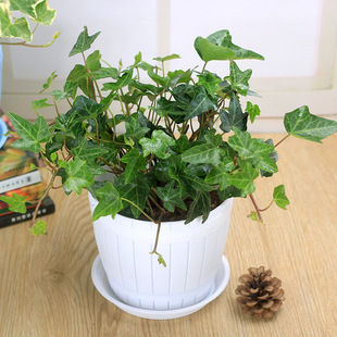 ������ �׷N���mֲ������ ��߅�����ٻ����̨�����Gֲ���