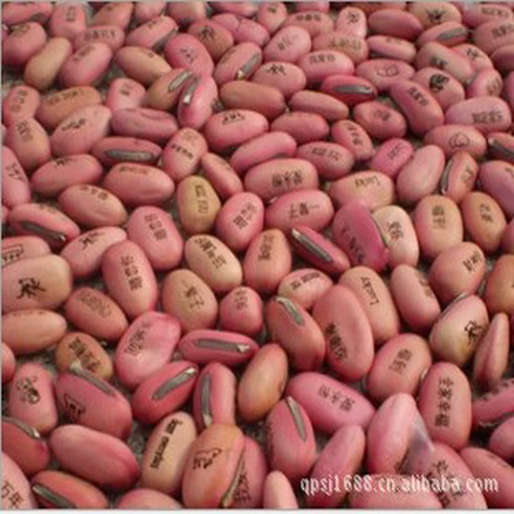 Красные волшебные бобы, оптовая продажа, куклы с травой, детский сад, студенты, креативные подарки, различные узоры, микропейзаж, меч, бобы, красные бобы