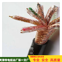 DJYVPVP20*2*0.75Ӌ��C��|�p���Οo���~�z�۾G�o�׏S��