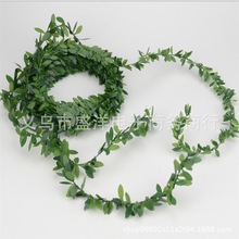 �F؛���l������~ PVC�����~���F�z�G�~�ٗl���� DIY�ֹ����h����