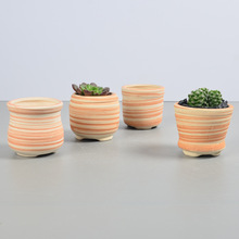 �����Ĵָ�� ���s����С̖�մ�ֲ�ﻨ��