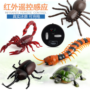 һ�����l���M��� 늄��b�����ϐ�Ӽ��x�����ظ��������