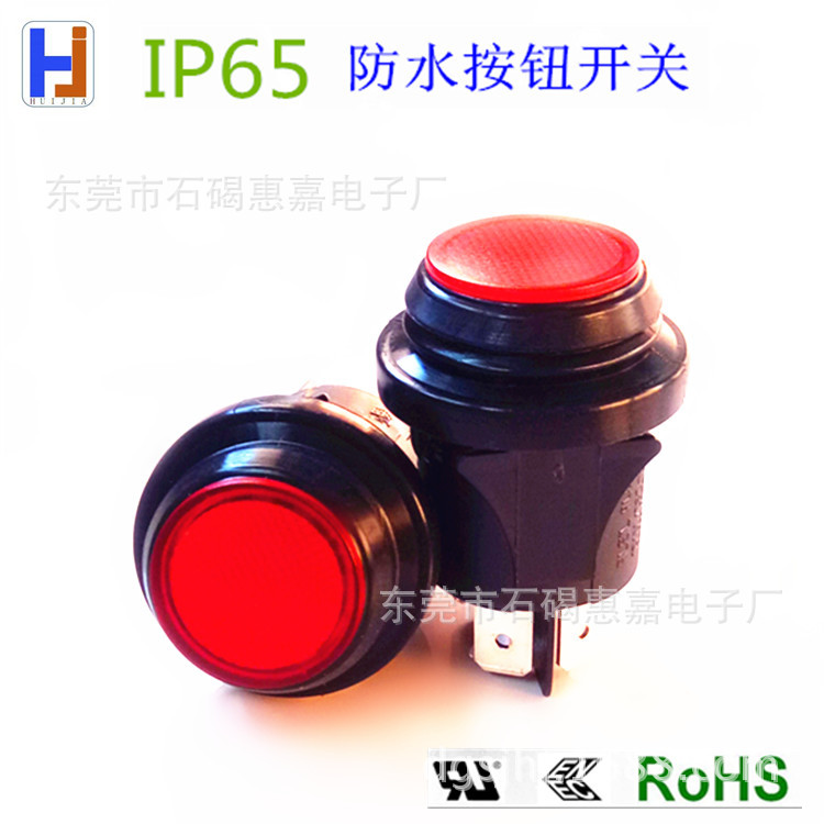 带灯防水按钮开关RL-51(P)-21/Ｎ