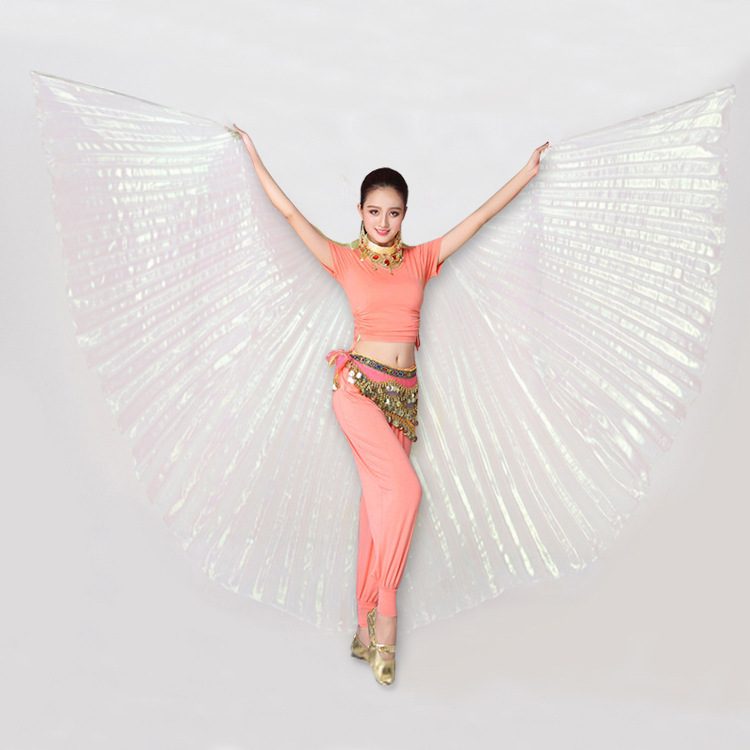 Adult 360-Degree Belly Dance Gold Wings and Silver Wings Belly Dance Wings Indian Dance Dance Wings Performance Costumes Dance Wings