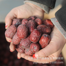 �½��󗗵��ɻҗ���Ǽ�t��δ��ϴ���Ҵ��w���L��500�����ؼ�