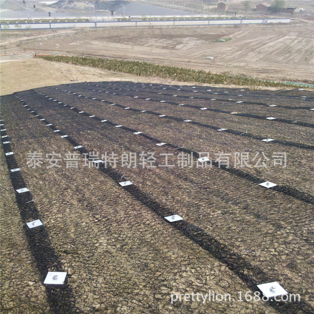 厂价直销供应三维保护毯  公路、铁路路基、路肩的加固过滤排水