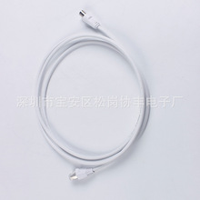 �S���N�� M�^���^ҕ�l�D�Q�� �ɍ��f�S�W�j�� 1038-net-0038