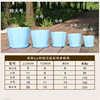 Resin petal pot color round green plants, succulent imitation porcelain pot pumpkin -type vertical plastic flower pot wholesale manufacturers