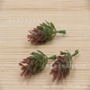 Pineapple Grass Flower Head Book Bud Flower Ring Material Wedding Cefin Sugar Box Decoration Accessories Poor Perliated Beer Tripper Decoration