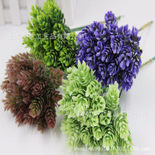 ���}�ݻ��^ �������h���ϻ�cϲ�ǺжY���b����ơ�ƻ��b�