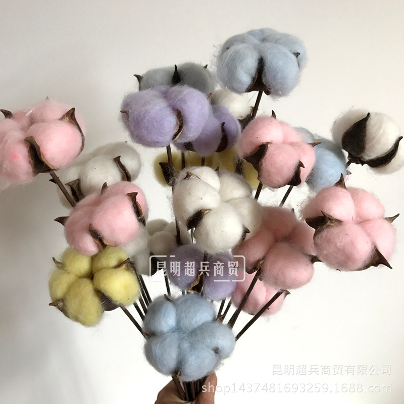 Cotton colored cotton single cotton