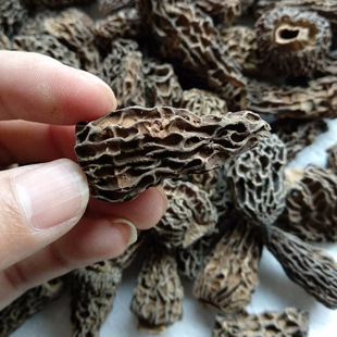 ����خaҰ����Ǿ���؛ȫ����2-6cm���|�����l100g�����L�Ƀ��|