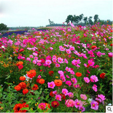 lջN2-2 ݻMϷNҰMϸNջNă