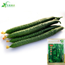 Gȿ~SϷN rˈ@sܴ̾GȿYS߲