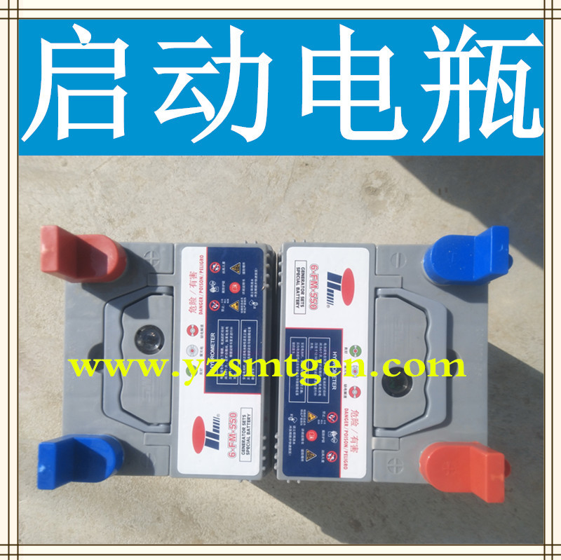 发电机组发动机启动蓄电池免维护电瓶 电源开关浮充电器24V 12V