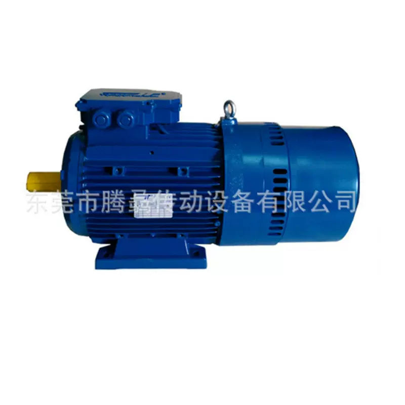 Temporiti意大利泰普利电动机往复运转刹车马达电镀线用电机