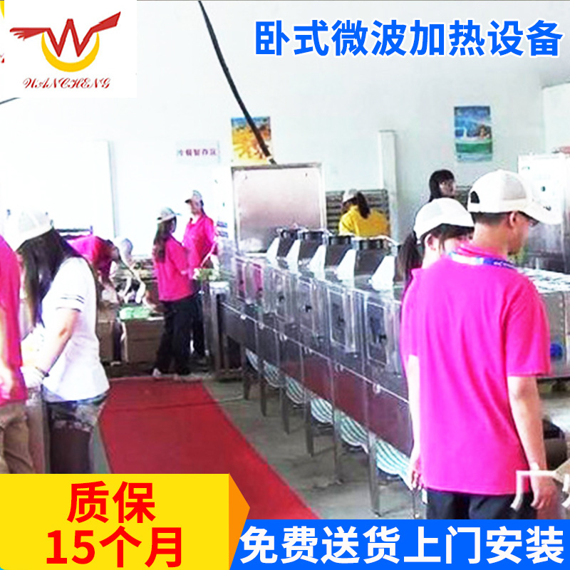 厂家供应 卧式微波加热设备 CNWB-60Y小型微波加热设备