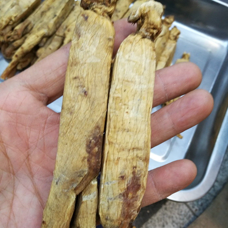 ������ ���������ز���θ����β���ֱ��