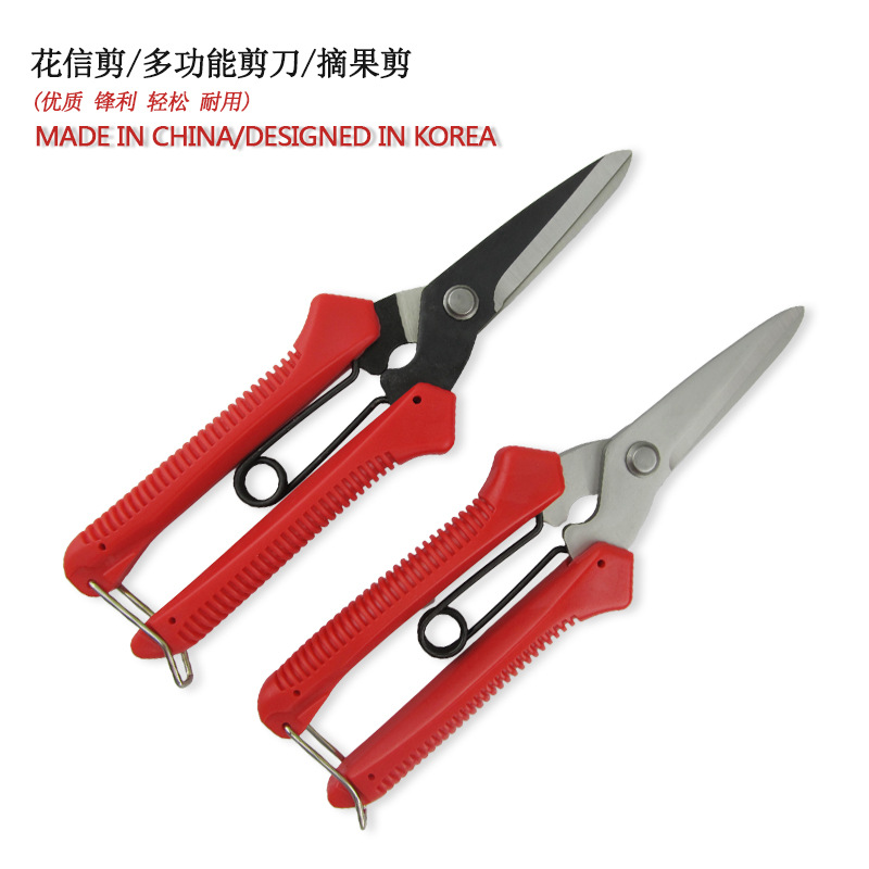 不锈钢花信同款剪刀 园艺剪刀  摘果剪 铁皮剪 园艺修枝剪刀