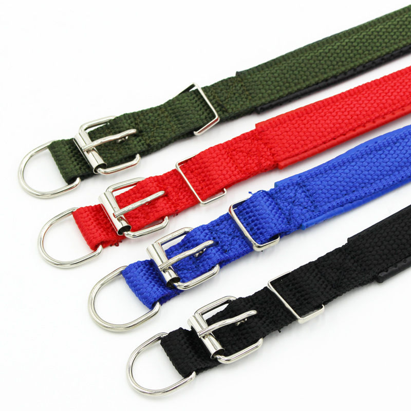 Collar de Espuma para Mascotas de Nylon para Mascotas