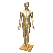 ���ͭ��ģ��170CMҽ����ҽ���ÿƽ�ͨ��ѧ��ģ��