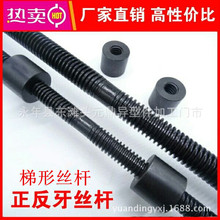 ���νz�U��ĸ T�����z�U T���ݼy��ĸ ���ݾ�z�U �������{���p�^