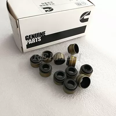 engine without seat valve oil – Oil seal