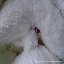 �S�����l�����tľ�����޼� �N�𲭺�ɫ��ɫ�޼�1��¹Ų�ɫ������