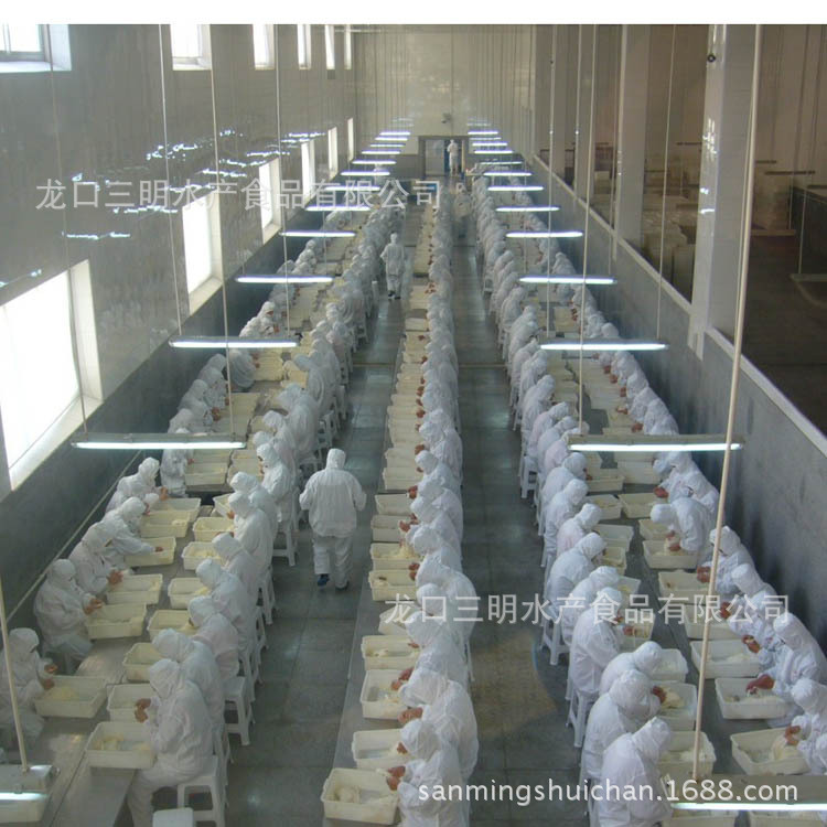 补运费样品订购批发供应烤鱼片海产品休闲食品零食山东特产随身带