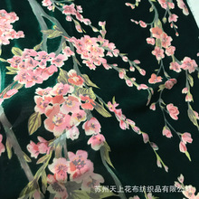 �L�ڹ���ɣ�Q�z�q���\�qӡ����Ů�b�����\�q����q���Z�qŮ�b����