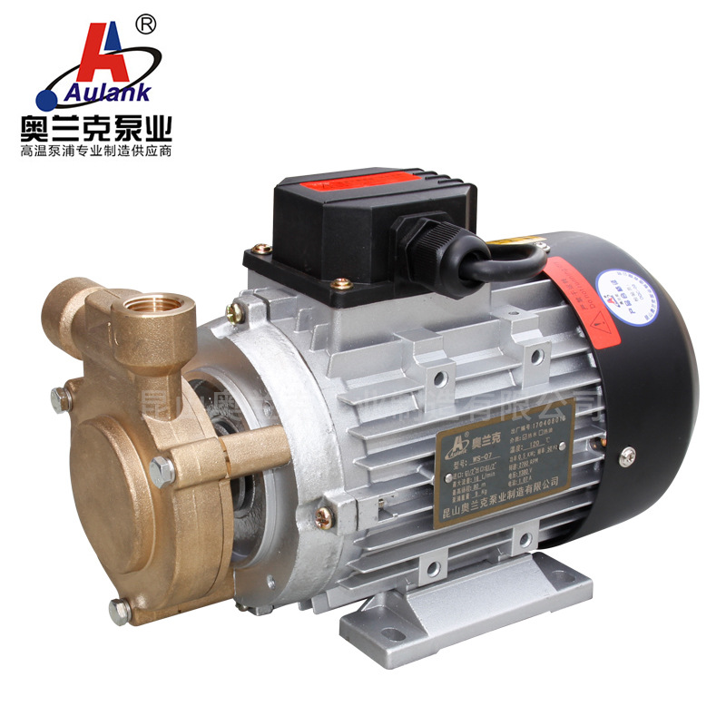 电热生物质增压燃煤锅炉蒸汽发生器高压旋涡水泵 燃烧机用泵