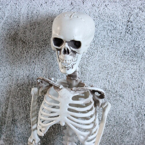 Halloween Skeleton Skeleton Ornaments Mummy Chamber Set Props Haunted House Decoration Horror Halloween Skeleton