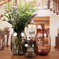 【新加勤】美式乡村加厚玻璃花瓶 清新客厅餐桌花器鲜花插花摆件