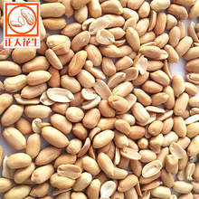 ���Ϻ濾���������� ɢ�b�������� ÓƤ�����S�����a���l