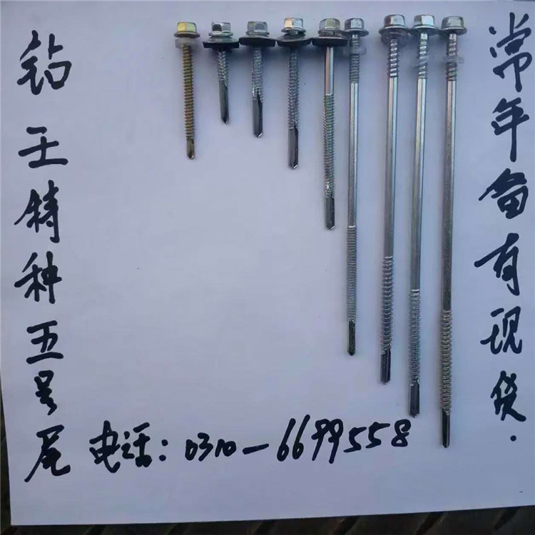 自产自销钻王牌5号钻尾丝 五号加长尾 特种钻尾丝 25-165现货供应