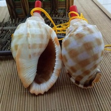 �S�ҹ�����Ȼ���ݿ�������������ؐ����ˇƷ��ͯ��߾��^�ؔ�؛Դ