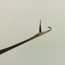 �tɫ���ϱ������h��ֹ����������ؼ����^���ë�����aС�h����l