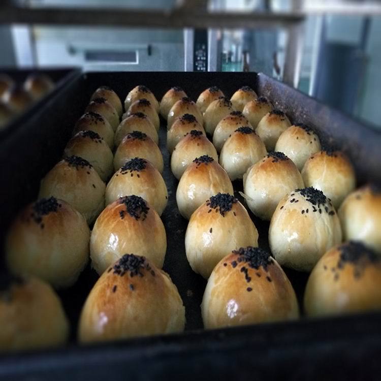 Reprehenderit qui in ea