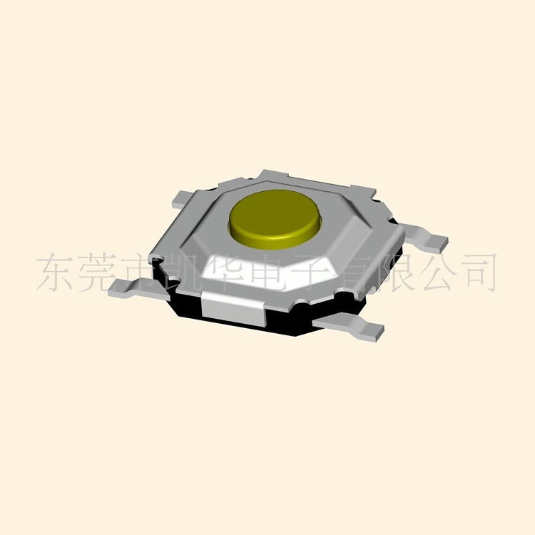 Switch key